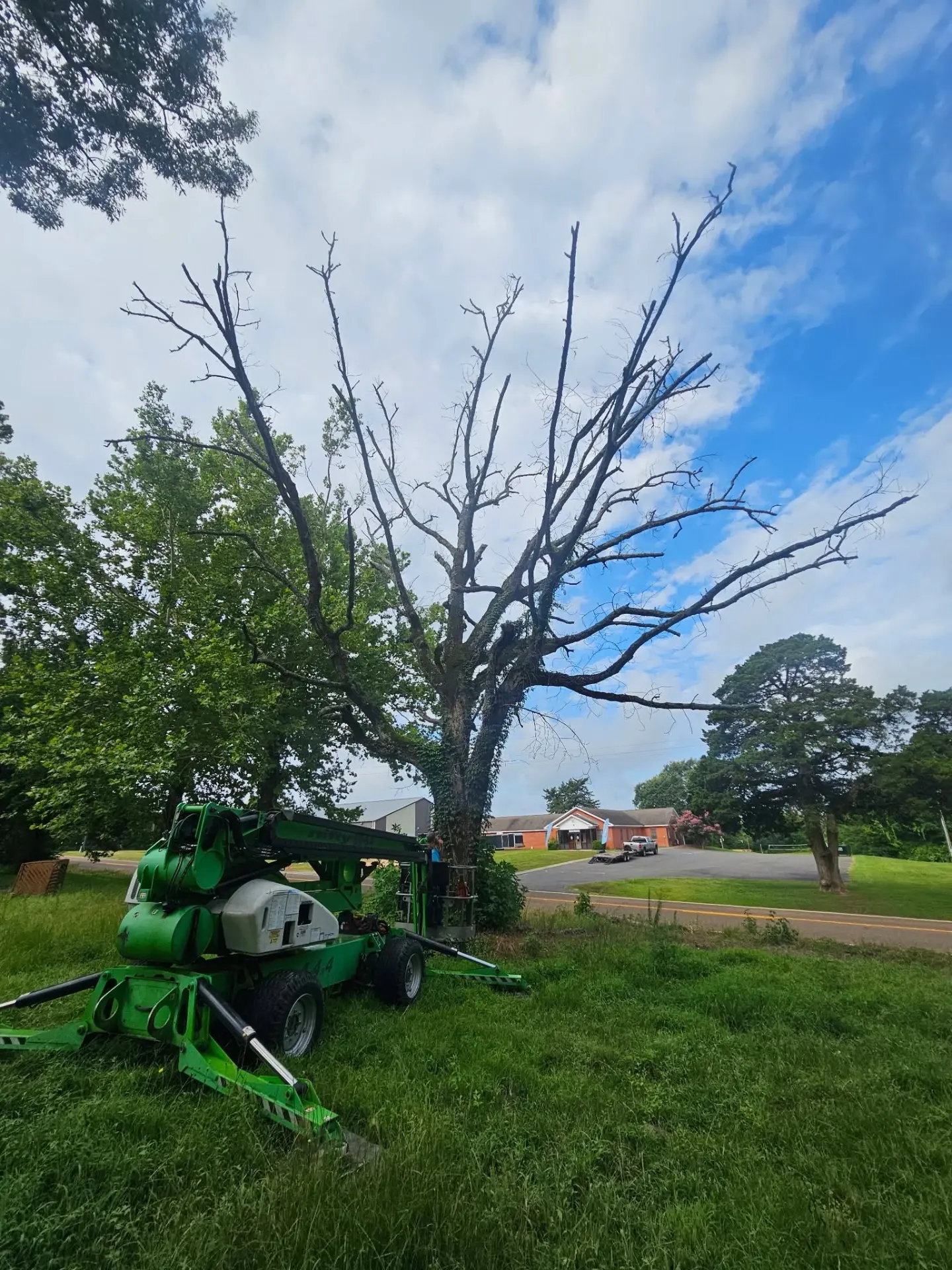 Spider lift set up on a lawn to dismantle a large bare dead tree near a brick building in Overton, Texas