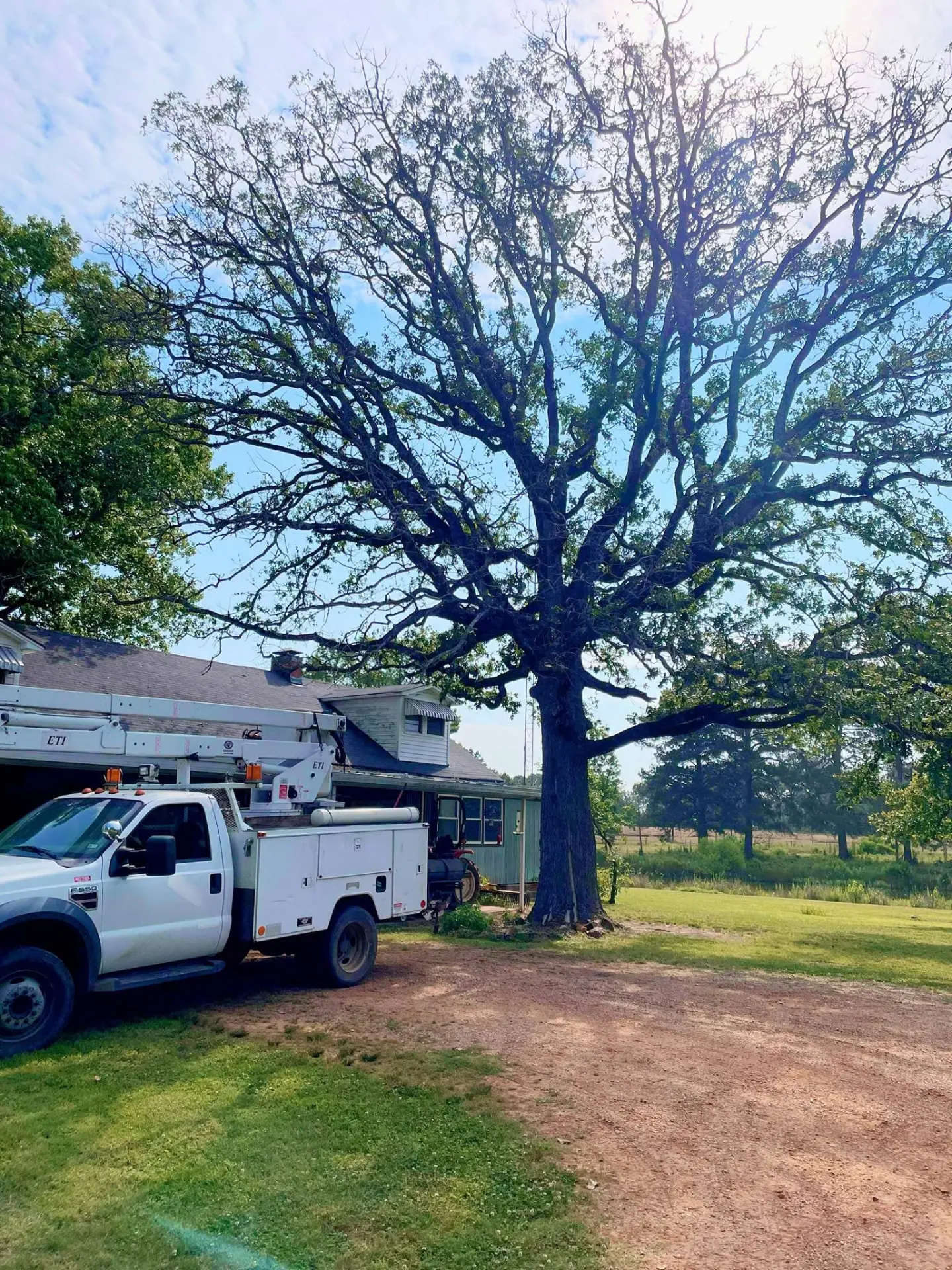 T. Rowe bucket truck parked beside a large tree being trimmed at an East Texas home