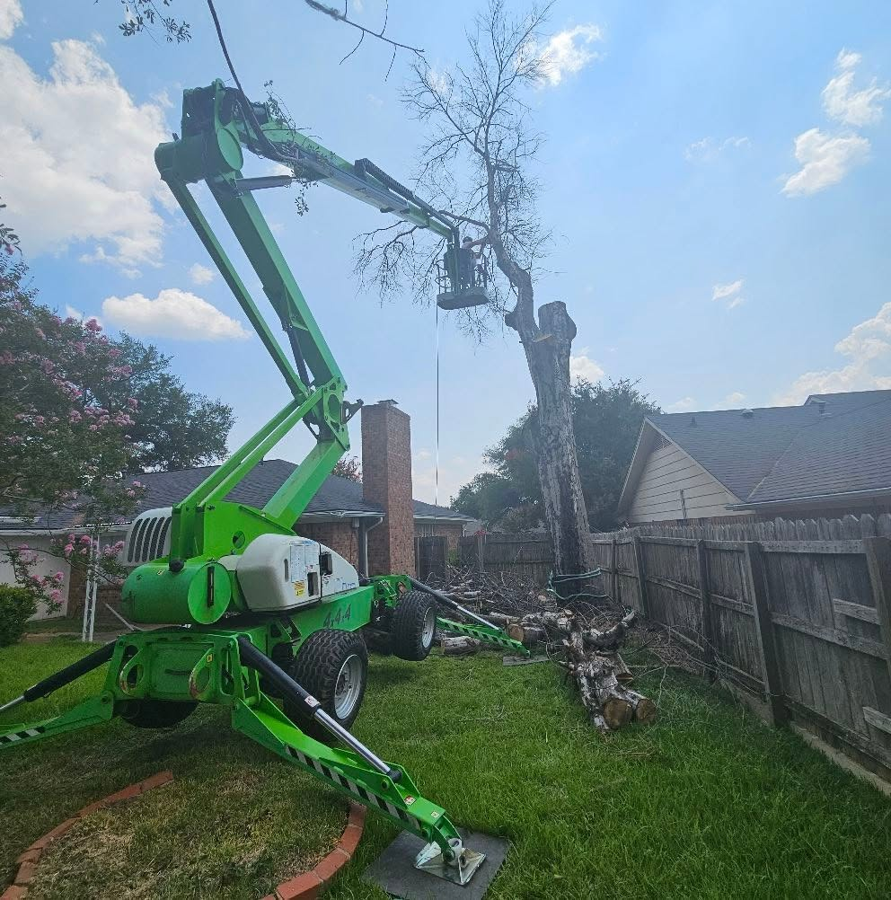 T. Rowe spider lift standing on ground pads inside a fenced backyard, boom raised with a worker in the basket up in a large dead tree