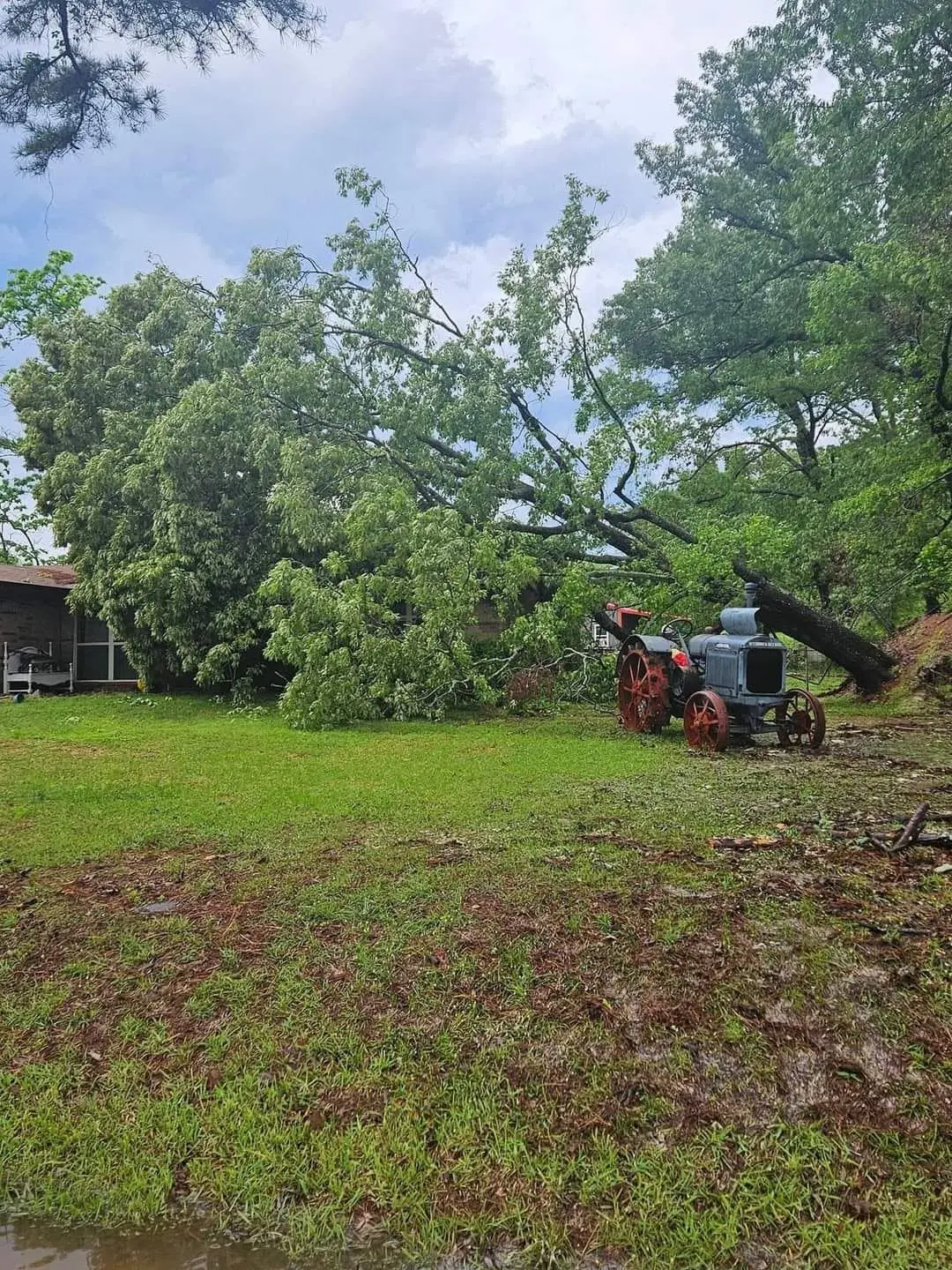 Large tree down across a yard after an East Texas storm