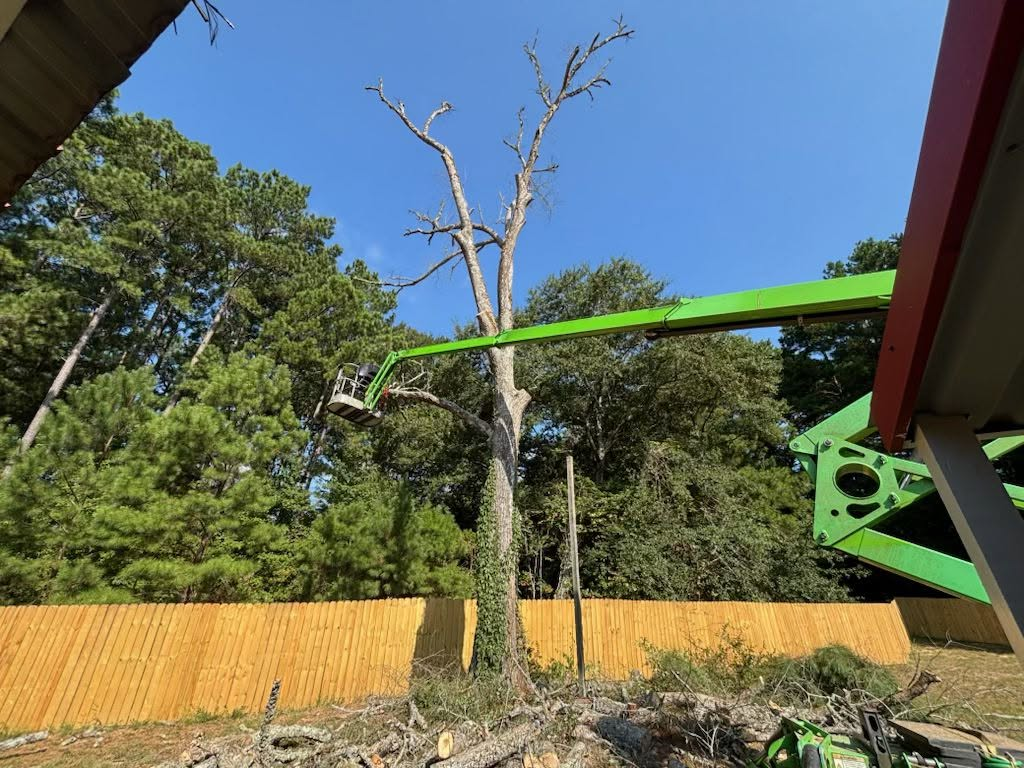 Boom lift trimming a tall bare tree behind a wooden privacy fence in Overton, Texas