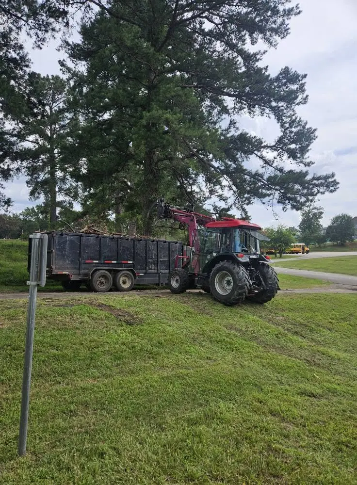 Tractor with a grapple loading cut tree debris into a dump trailer after a removal in Overton, Texas